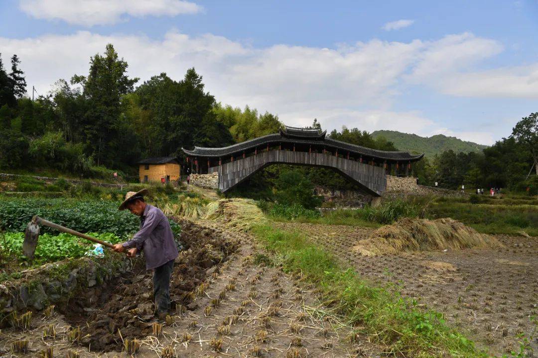 闽浙廊桥②从寿宁去泰顺廊桥连接的是山间生活