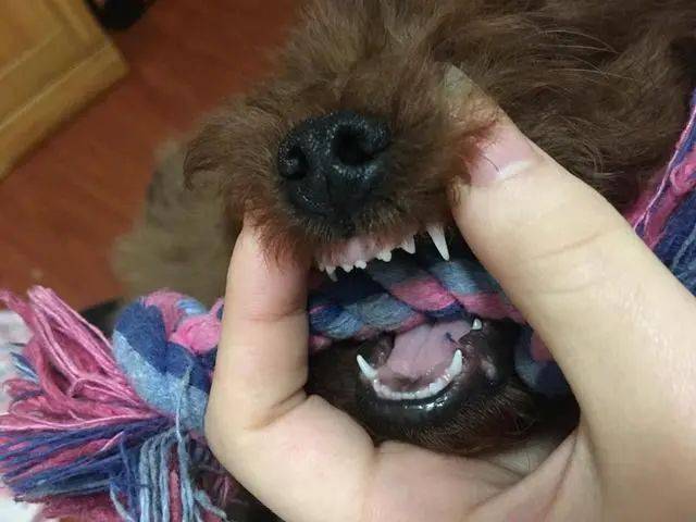 8caf5871acb14964a52ab58acbb273ee.jpeg