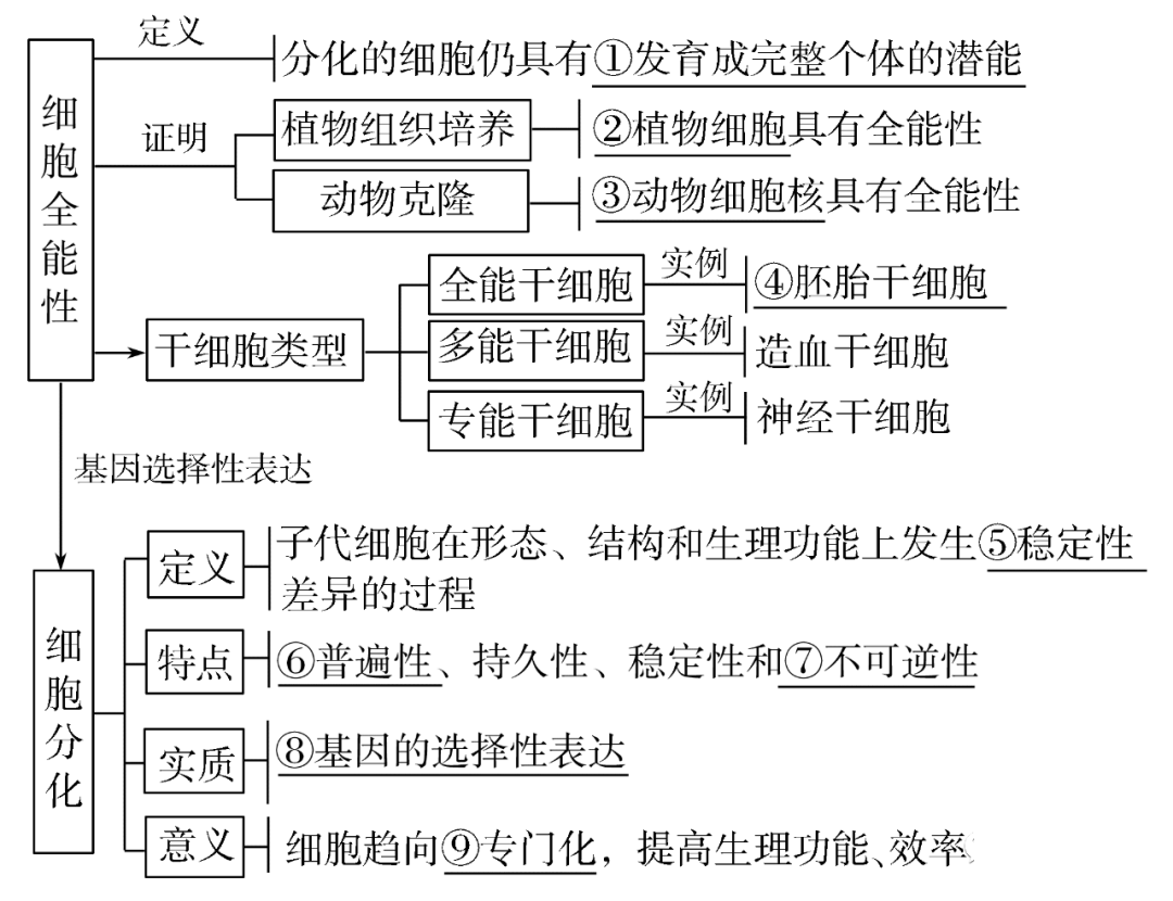 高考生物一轮复习分子与细胞思维导图专题汇总汇总