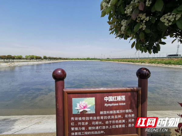 “益山益水、益美益阳”：蹚出一条绿色高质量