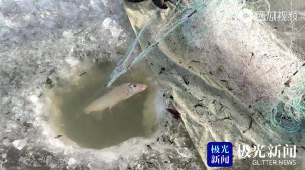 双鸭山人口多少_双鸭山地图(2)