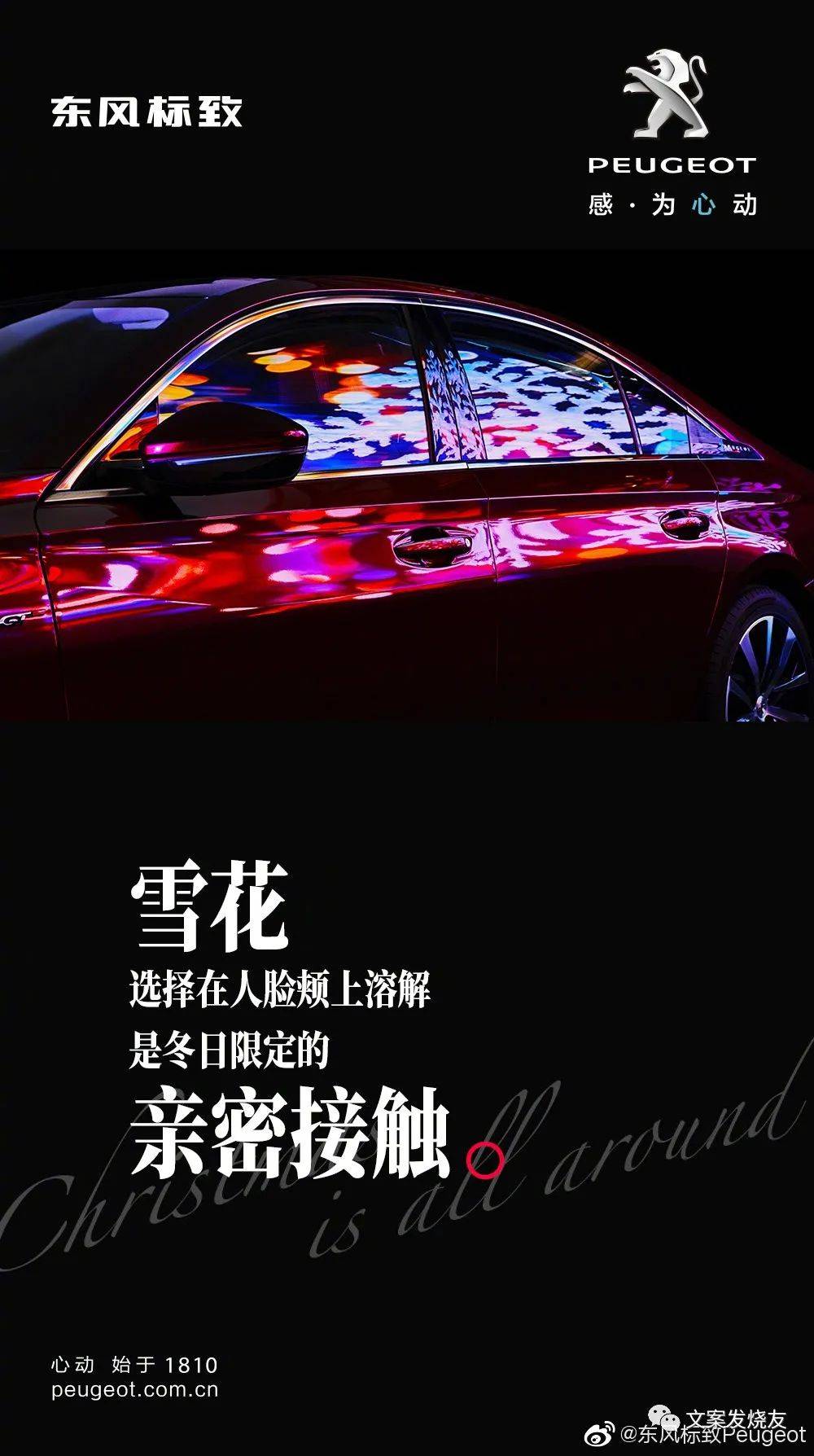 79c078f621cb4f92bc461a7bfe52d9e9.jpeg