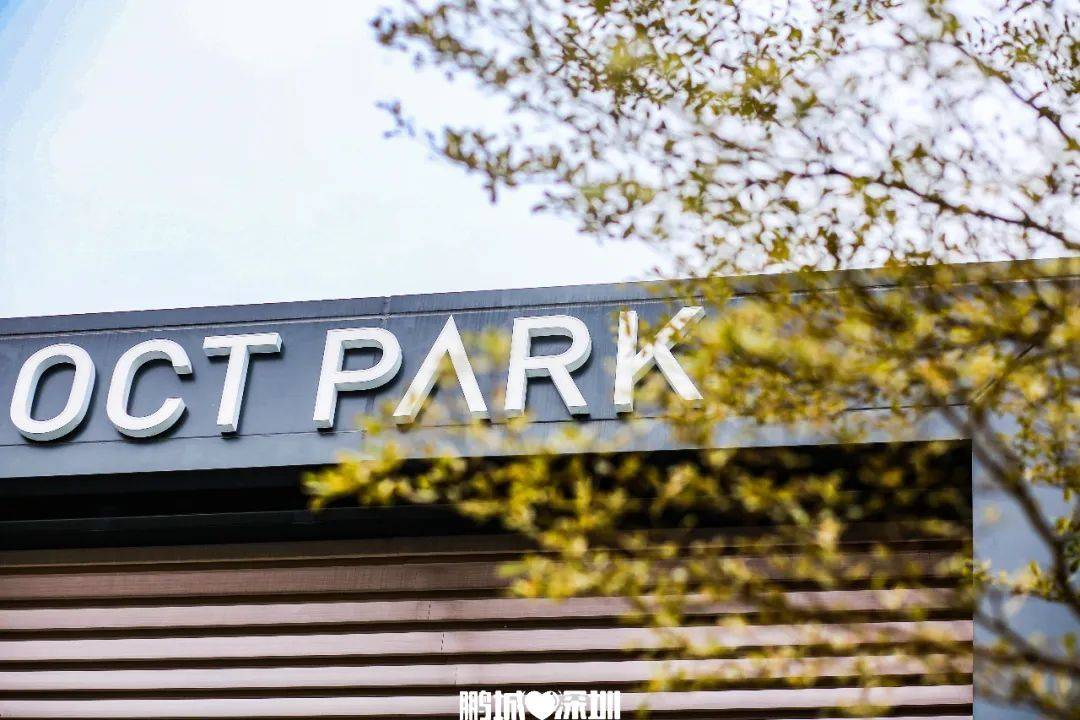 丑毛衣入侵圣诞老人亲临华侨城octpark还藏着多少惊喜