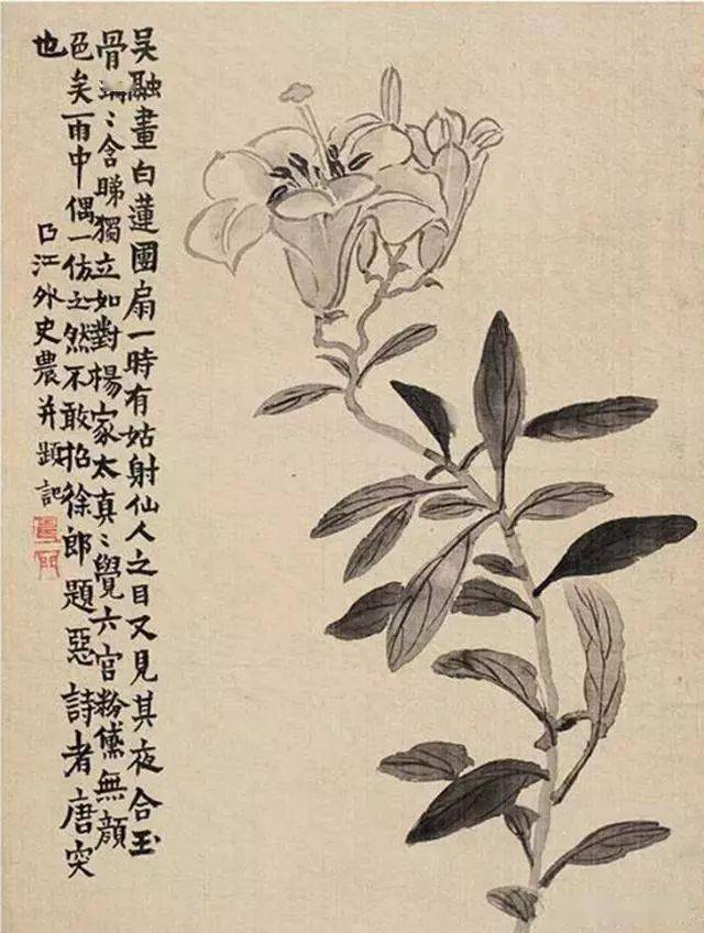 金农《花卉小品》册页,书法绘画皆别有趣味