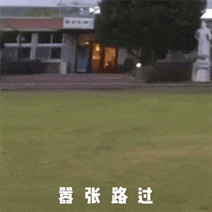 0a66e3c0390b42c1abd6ac5ebd7f790b.gif