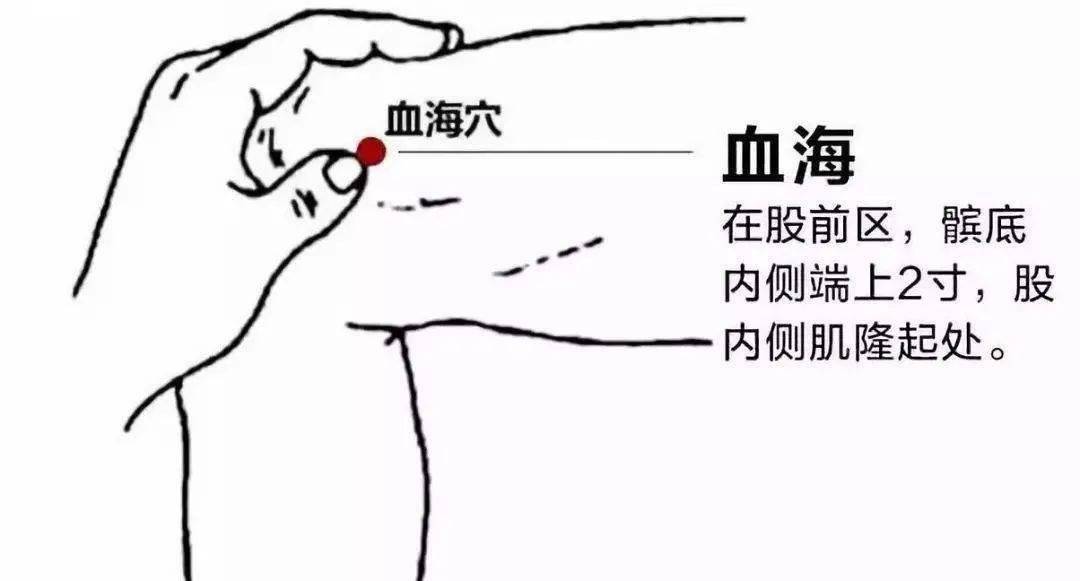 5677e34e98814d3f8c9b988d5dc77aed.jpeg