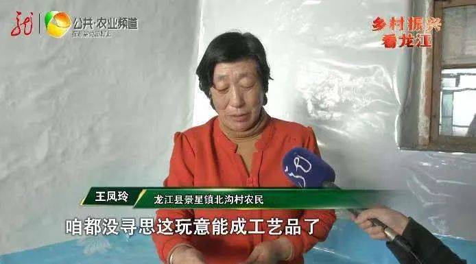 龙江县景星镇北沟村的农民王凤玲今年54岁,两年前老伴去世后,儿子去了