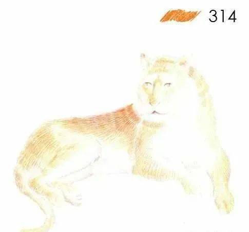 龙王鲸怎么画才凶猛 f138605d5a80471a98163a1bfb613545.jpeg