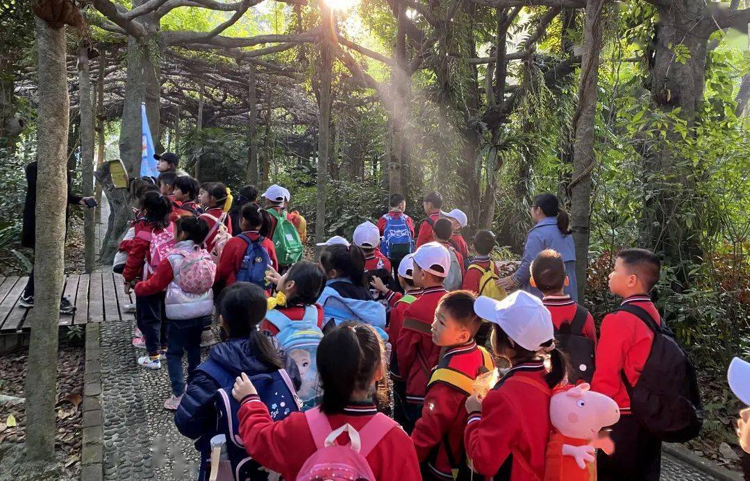 拥抱自然 快乐研学——南宁市凤翔路小学开展研学主题教育活动