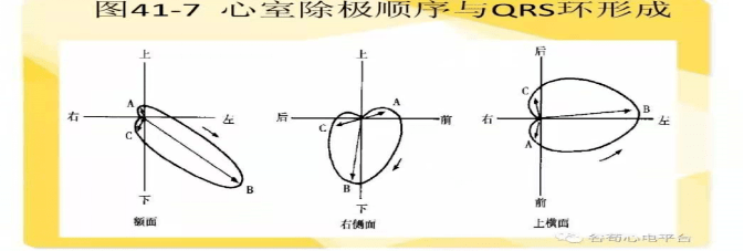 【航天心科普】心电图与心电向量图基础