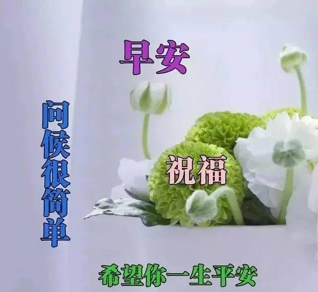 半岛体育中老年专用表情包最新乐天随缘轻松自在！(图8)