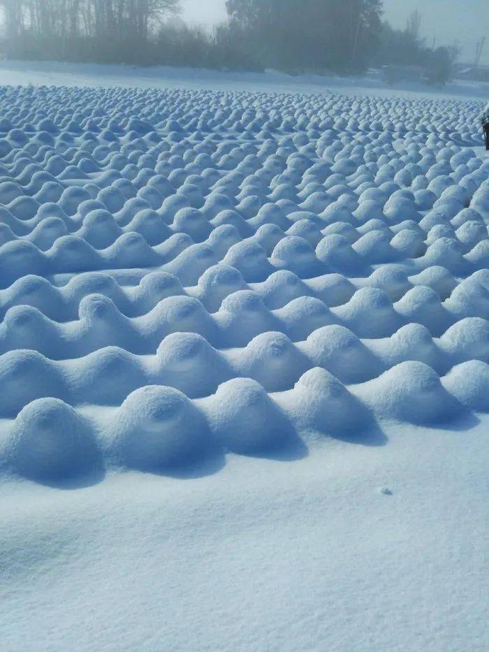 这也是栅栏,是大自然用雪创造的艺术