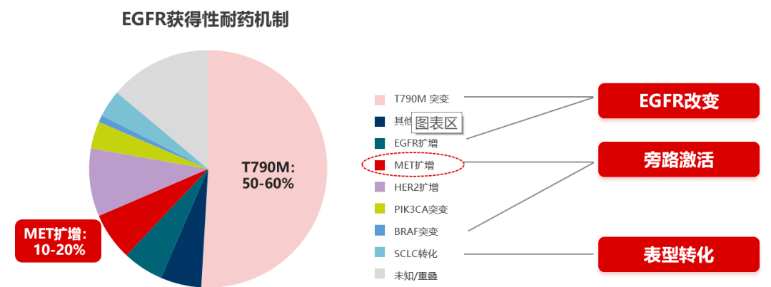 深入解析 met 检测在 nsclc 中的意义与方法_手机搜狐网