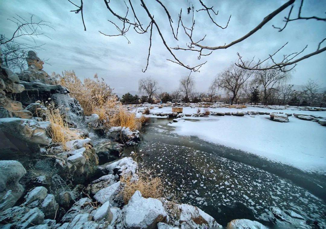 雪后初霁鹿泉美成诗附海量美图