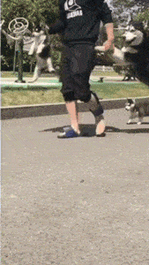 搞笑GIF:第一次见到这么无理的要求!