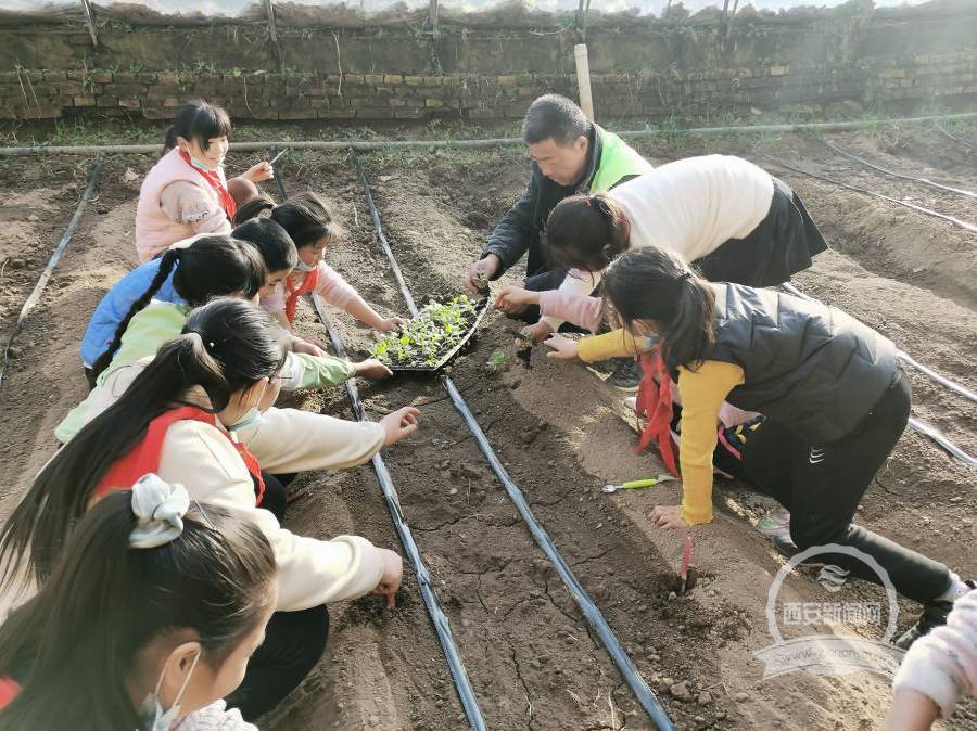 喂"佩奇"认瓜果 小学生农业园劳动实践快乐多