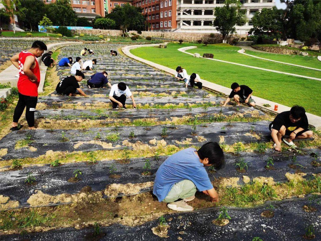 丽水新增7个省中小学劳动实践基地暨职业体验基地