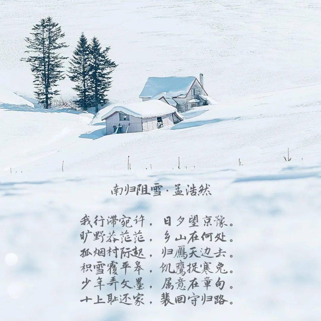 【阳光剑桥】冬天里的一把雪,飘飘雪花温暖了我