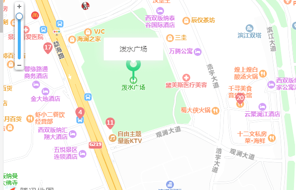 西双版纳人口2021普查_2021年西双版纳泼水节