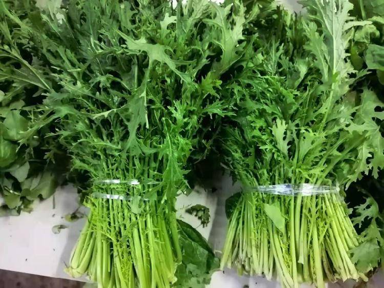 雪里红,苦菊,板蓝根叶……重庆市场出现"新蔬菜",你认识几种?