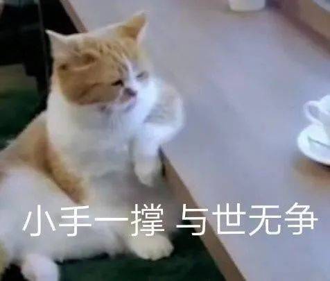 3227d856c3ba4422a1ede5baf3b921cc.jpeg