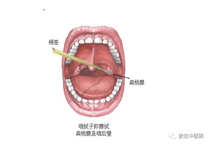 核酸采集知识小科普