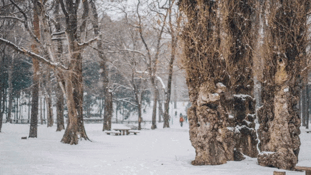 95c9d8a056fe4265a3491651b84805a3.gif