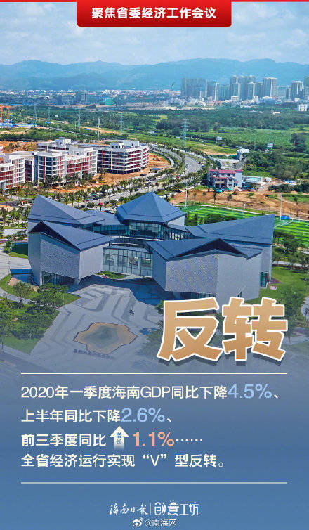 海南各市经济总量2020_海南大学经济学院院徽