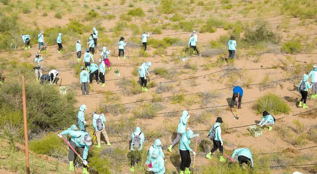 在腾格里沙漠造林4200亩他们这样践行环保理念