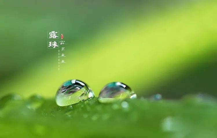 平常心是一种什么心态 63d7f6b08e6440a08606bc5c1f20b593.jpeg