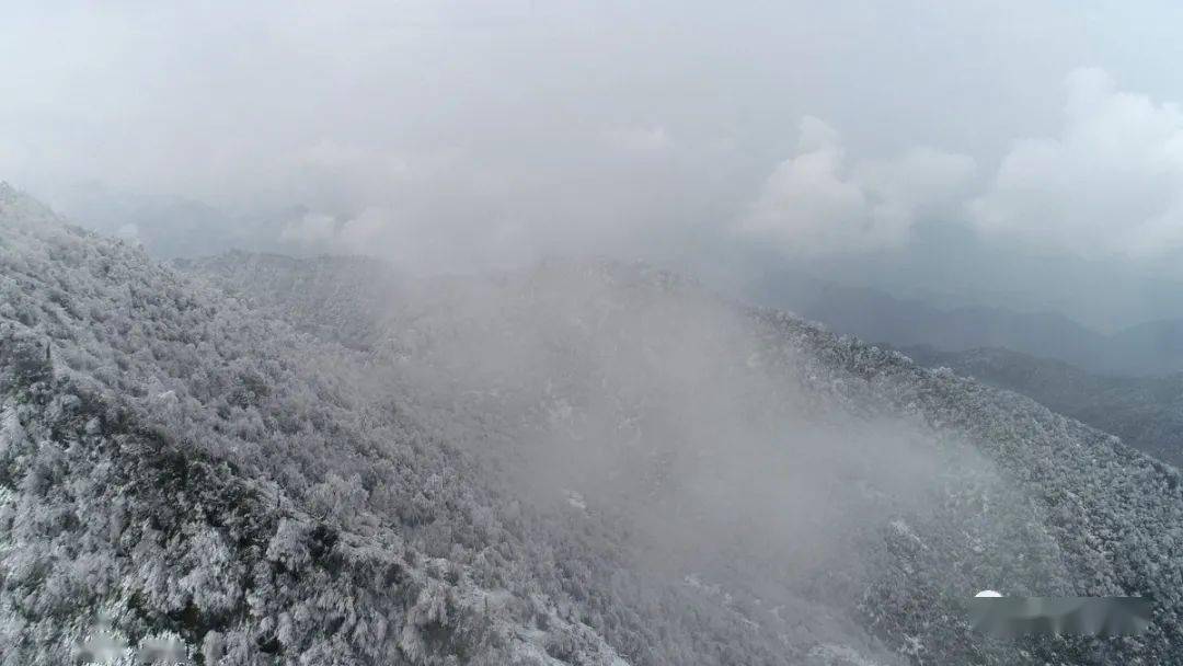 大雪山绝美雪景!错过再等一年!_筠连