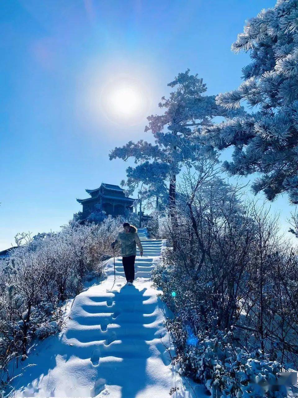 年终巨献——新县金兰山超美雪景大片,太美太梦幻!