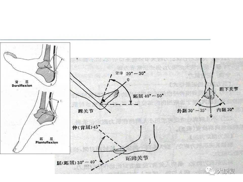 关节松动术手法分级及具体应用