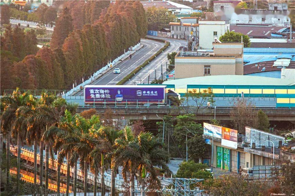 嗨,2021年顺德第一缕阳光~