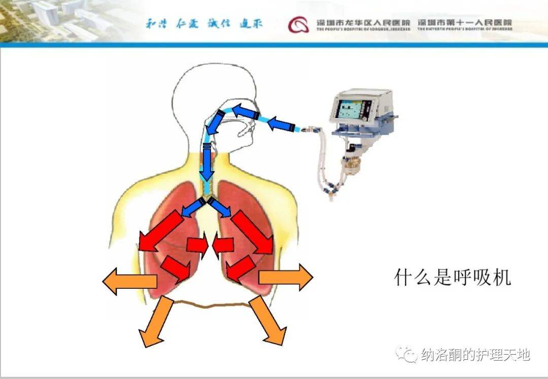 ppt呼吸机的临床应用
