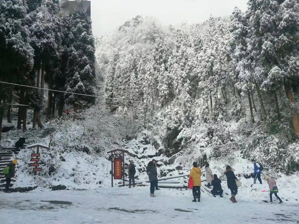 什邡神瀑沟下大雪了99元抢购冬季单人门票399元抢购神瀑沟冬季门票