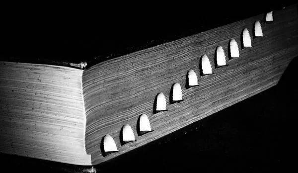 af1f23169d664368ac0489d7a0192735.jpeg