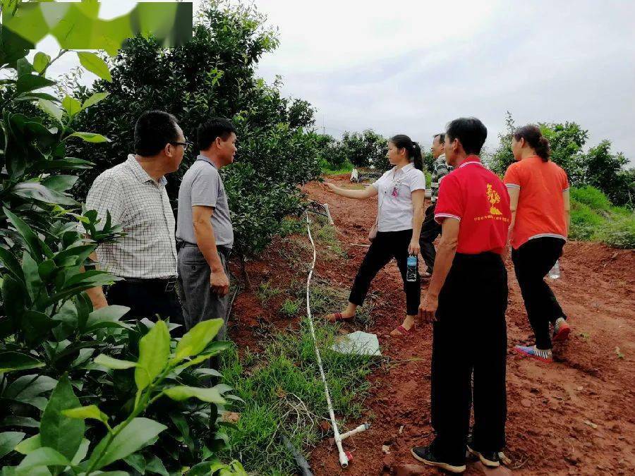 邕宁区百济镇红星村人口_邕宁区百济镇桥