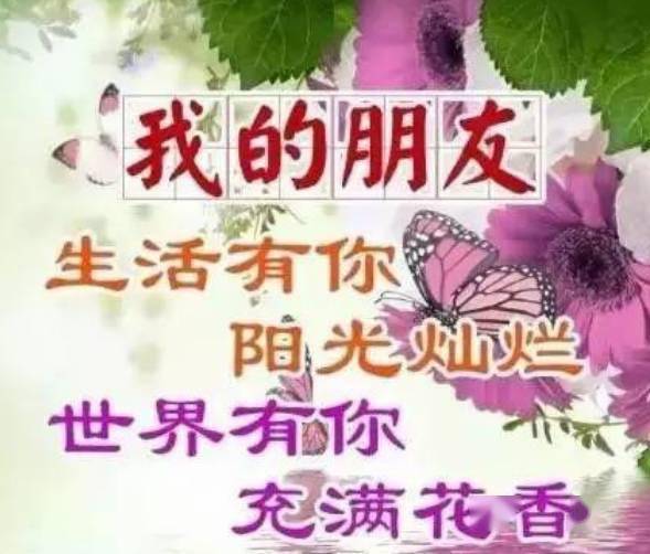 一声问候,一生朋友!一曲《有你真好》送给老