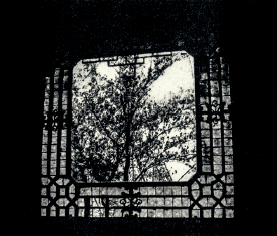42712b2d2d3e4bfea8c905b64eb069c9.png