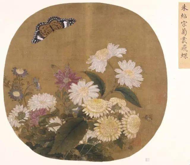 80幅最精彩的菊花图_搜狐网