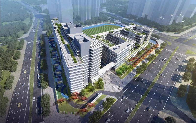 深圳2020民办高中排名_取消特招、民办学校需摇号……2020深圳教育做了这