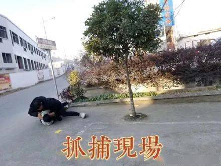 桐城2021人口有多少_桐城有什么好玩的地方