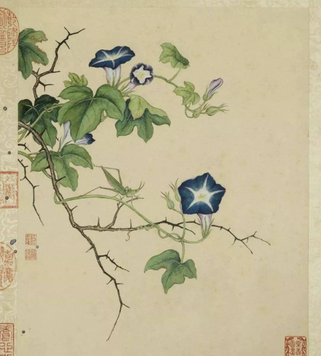 赏画|蒋廷锡《花卉图册》