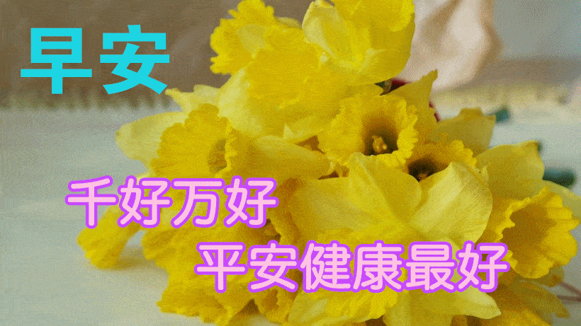 2021年1月3日最漂亮早上好动态表情图片大全,早晨好动图美图大全