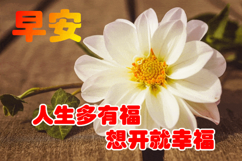 2021年1月3日最漂亮早上好动态表情图片大全,早晨好动图美图大全