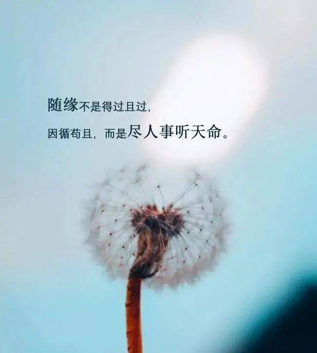 0dfd0a327c4b4ea0a84e7cbc5fcc9bf1.jpeg