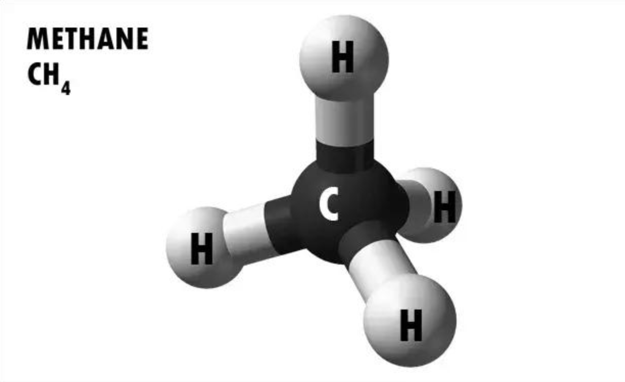 排放|英国企业研发“牛用减排口罩”减少碳排放 “小题大做”还是确有必要？