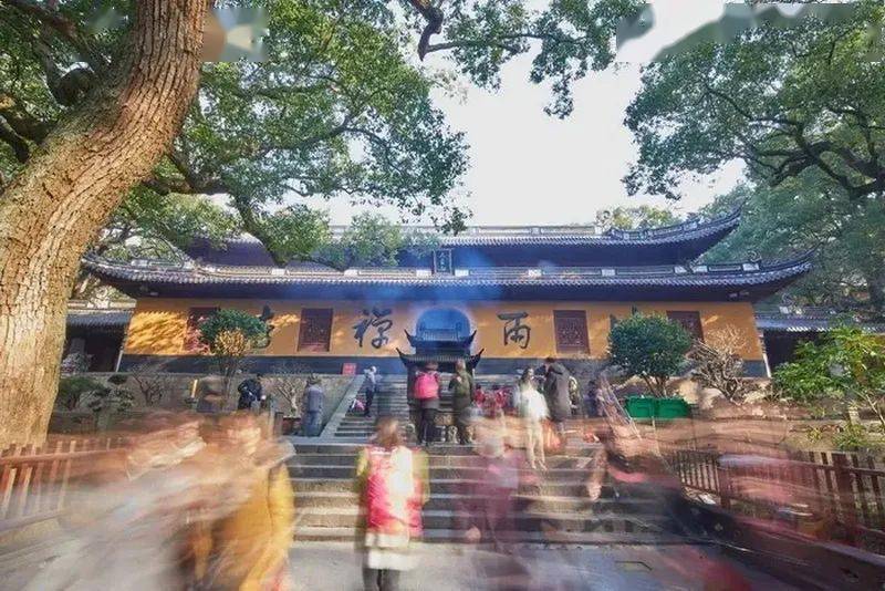 【乐行族|休闲】1月9日,祈福普陀山,海天佛国朝圣之旅.
