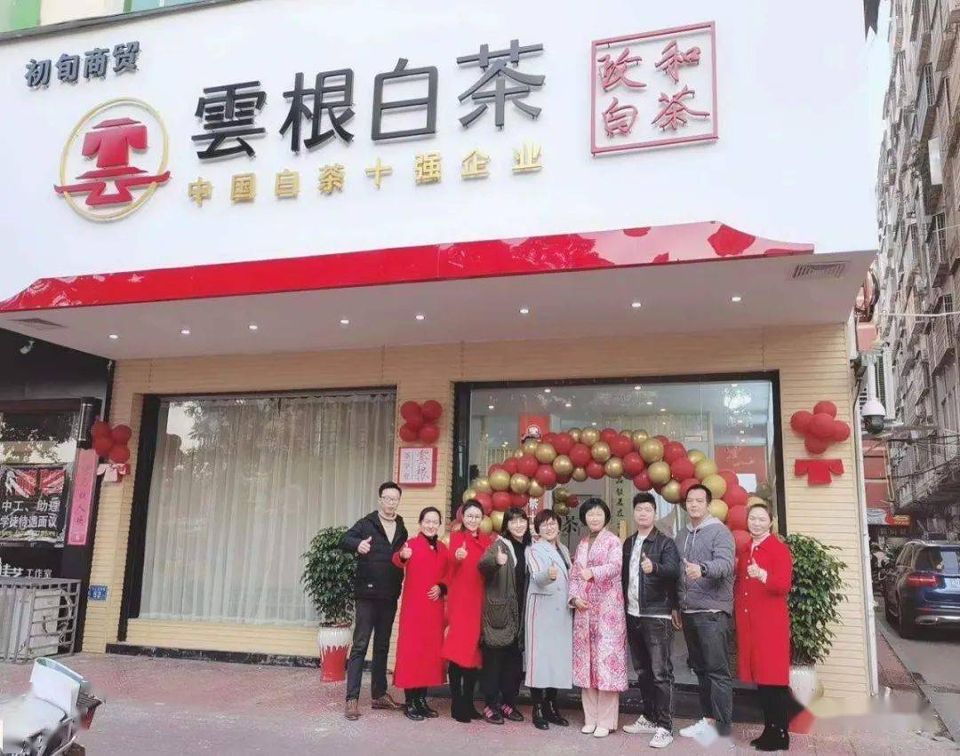 云根白茶莆田3店牛头齐发政和白茶耕耘莆仙大地